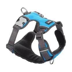 רד דינגו רתמת עבודה לכלב XL טורקיז 1 יחידות