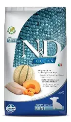 ND גור מיני אושן קוד דלעת מלון 2.5 ק"ג